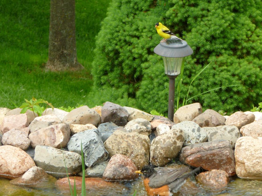 Vila Trickling Waters Retreat Marquette Exteriér fotografie