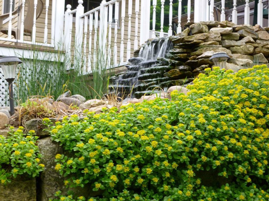 Vila Trickling Waters Retreat Marquette Exteriér fotografie