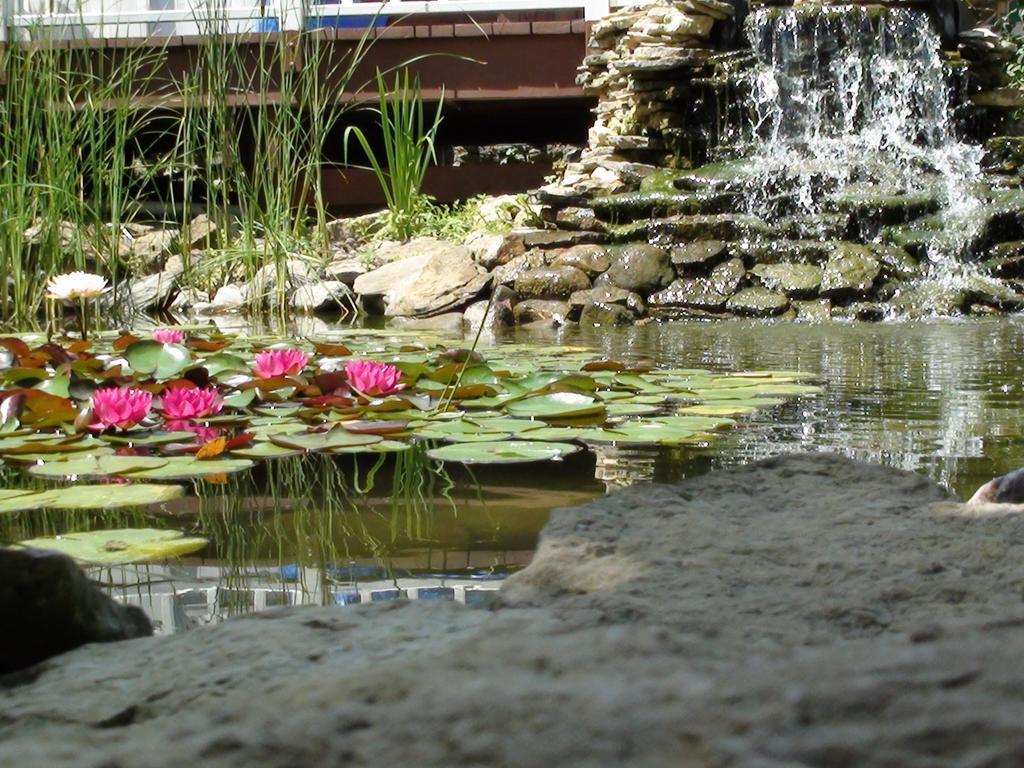 Vila Trickling Waters Retreat Marquette Exteriér fotografie