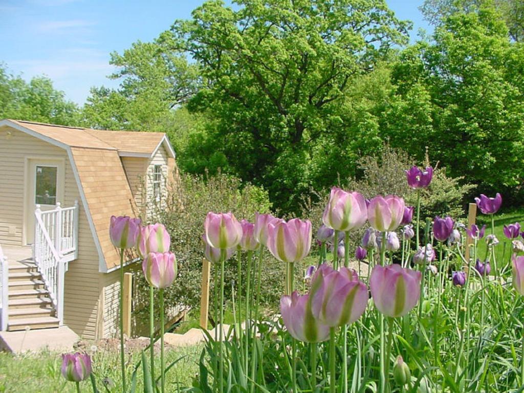 Vila Trickling Waters Retreat Marquette Exteriér fotografie