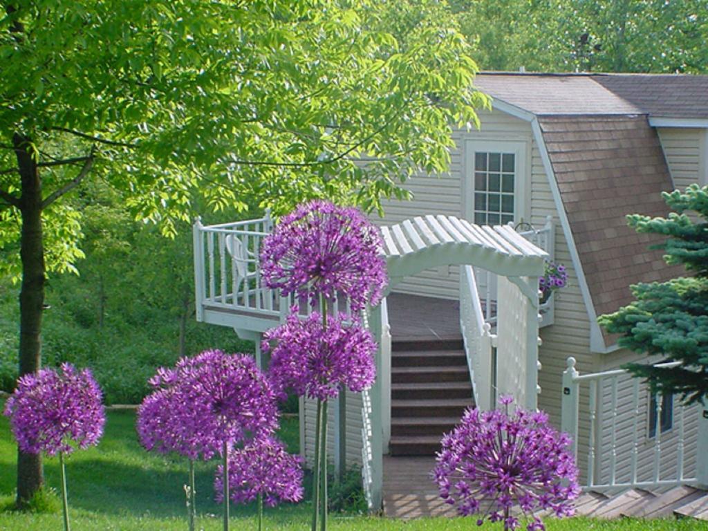 Vila Trickling Waters Retreat Marquette Exteriér fotografie